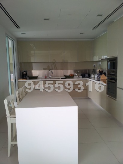 Sky@Eleven (D11), Condominium #454902